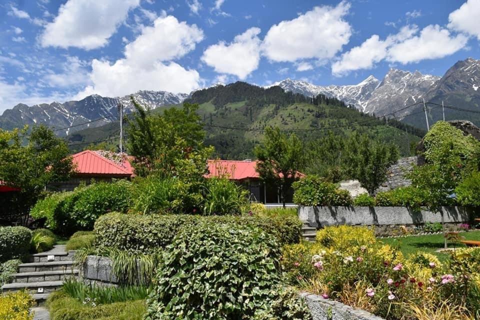 The Amrit Manali 2&3 Bhk Villas Eksteriør billede